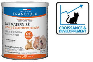 Peut-on donner du lait a un chat ? Lait de vache autorisé !