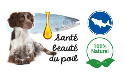 Huile de poisson pour chien ! Quel poisson ! Pour quel bienfait !