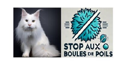 Boule de poils chat, Solution naturelle  ! Résultat immédiat !