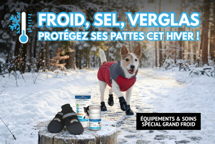baume coussinets chien hiver