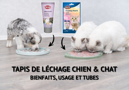 Tapis de léchage chien & chat : bienfaits, usage et tubes