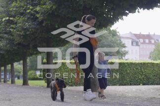 Harnais Dog Copenhagen : quel modèle choisir pour son chien ?