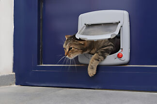 Installer une chatière sur une porte, bois, PVC, verre…
