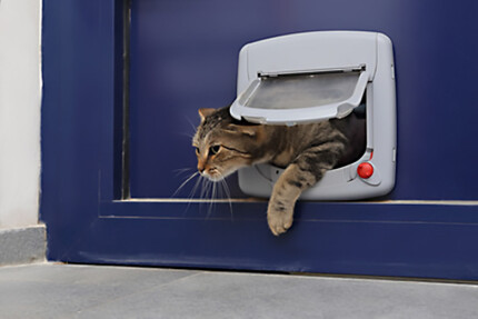 installer une chatière