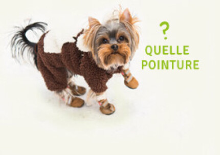 Quelle taille de chaussures pour mon chien ?