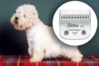 Tête de coupe pour tondeuse, laquelle choisir ?