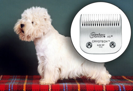 Tête de coupe pour tondeuse, laquelle choisir ?