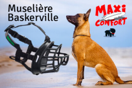 museliere baskerville