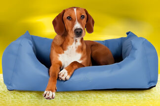 Panier pour chien, corbeille pour chien : choisir le bon couchage