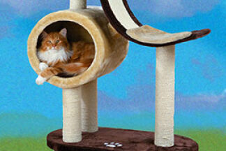 Arbre à chat, griffoir, pour chat d'appartement