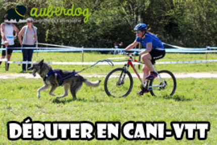 canivtt, faire du vélo avec son chien