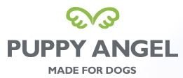 Puppy Angel