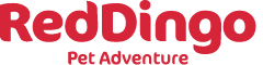 RedDingo