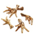 Pattes de poulet pour chien