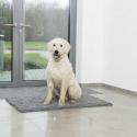 Tapis pour chien