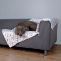 Plaid et couverture pour chien