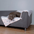 Plaid et couverture pour chien