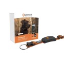 Collier GPS chien
