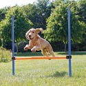 Agility
