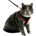 Harnais pour chat
