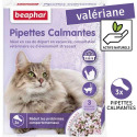 Chat malade en voiture