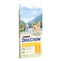 Dog chow