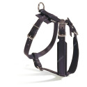 Harnais de dressage
