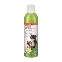 Shampoing anti puce chien