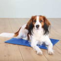Tapis rafraîchissant chien