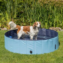 Piscine pour chien
