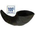 Corne de buffle pour chien