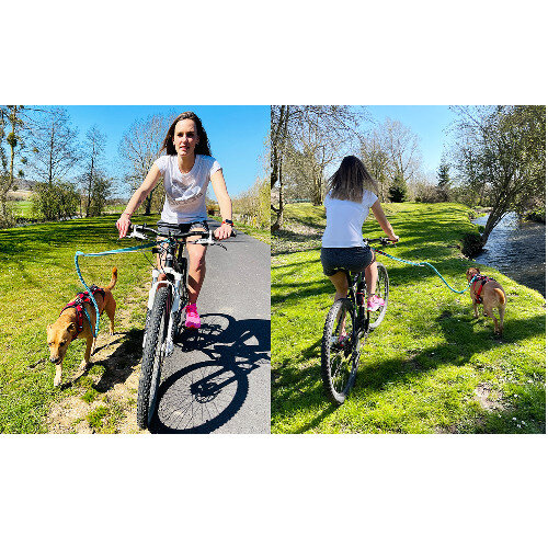 Barre Cani VTT : Traction canicross vélo, Tous nos conseils Pro !