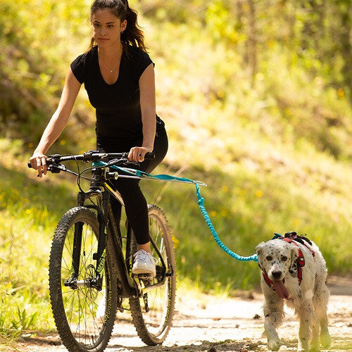 Barre Cani VTT : Traction canicross vélo, Tous nos conseils Pro !