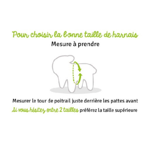 Harnais Bouledogue français : anti-étouffement !