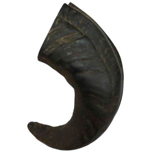 Corne de buffle chien : Corne 100 % naturelle & sélectionnée