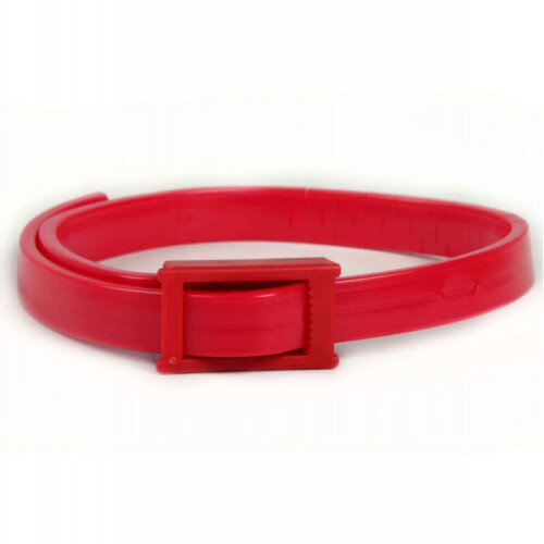 Collier anti puce chaton : À partir de quel âge ? Quelle efficacité !