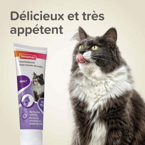 Boule de poils chat, Solution naturelle ! Résultat immédiat !