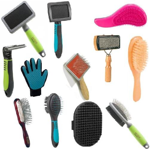 Boule de poils chat, Solution naturelle ! Résultat immédiat !