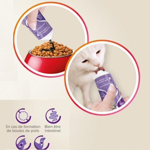 Boule de poils chat, Solution naturelle ! Résultat immédiat !