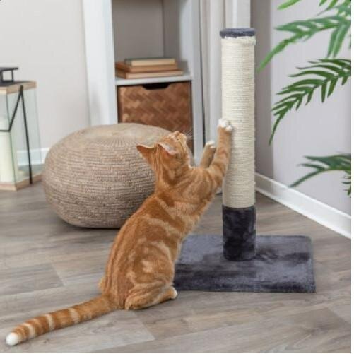 Griffoir canapé, Comment protéger son canapé des griffures ?