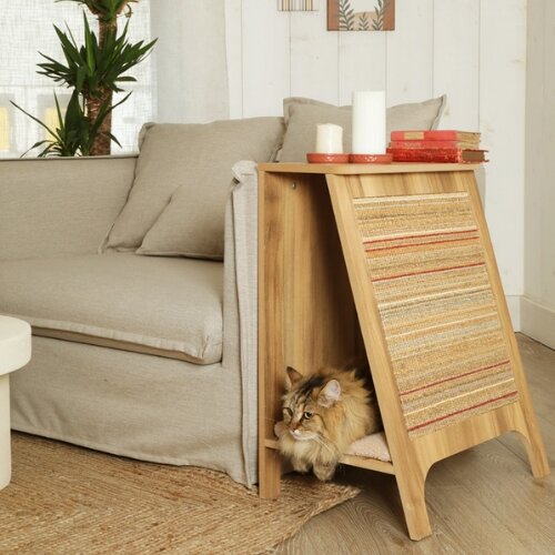 arbre à chat Boréal