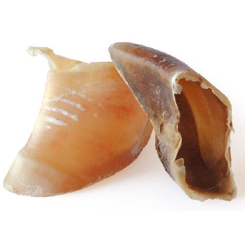 Sabot de veau pour chien, conseil d'utilisation !