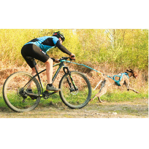 Barre Cani VTT : Traction canicross vélo, Tous nos conseils Pro !