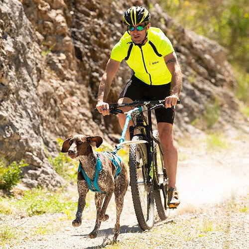 Barre Cani VTT : Traction canicross vélo, Tous nos conseils Pro !