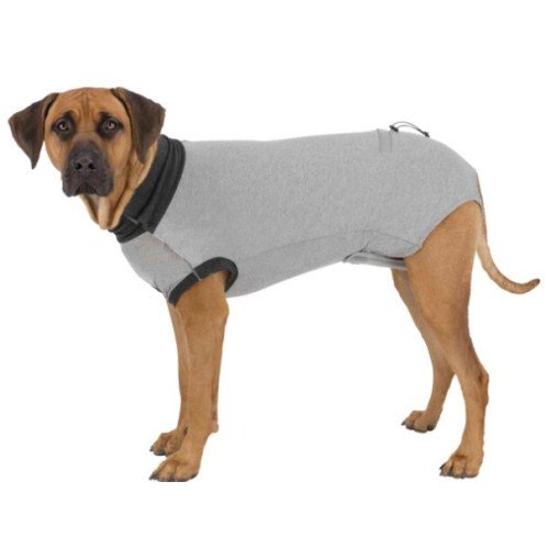 Body pour chien après stérilisation, Tee shirt après opération !