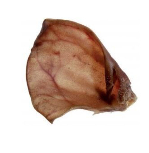 Pourquoi il faut donner des oreilles de porc à son chien ?