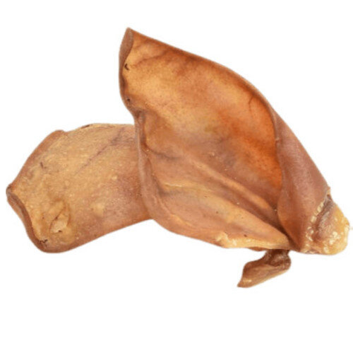 Pourquoi il faut donner des oreilles de porc à son chien ?