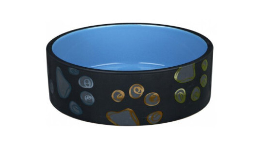 Tous les avantages de la gamelle en céramique pour chien