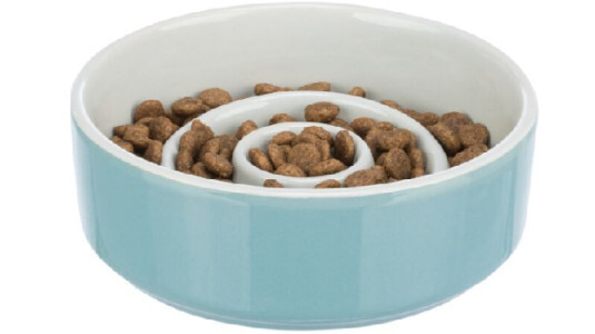 Existe-t-il une gamelle anti glouton pour chien en céramique ?