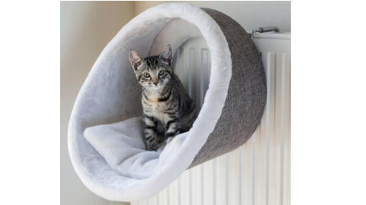 Pourquoi privilégier le hamac comme panier pour chat ?